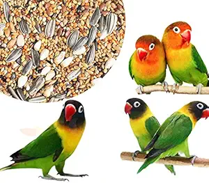 COLOURFUL? - Natural & Healthy Premium Birds Food for All African Lovebirds | Blue Lovebird, Lutino Lovebird, Masked Lovebird, Peach-Faced Lovebird etc. | Daily Birds Food Seed Mix (900g)