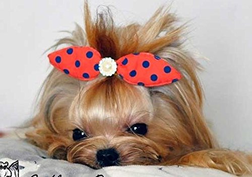 Yagapet-10pcspack-Mix-Colors-Dog-Hair-Clips-Pearls-Centre-Pet-Dog-Grooming-Bows-Supplies-Pet-Hair-Clips-Teddy-Exquisite-Rabbit-Ears-Dog-Hair-Accessories-Free-Shipping