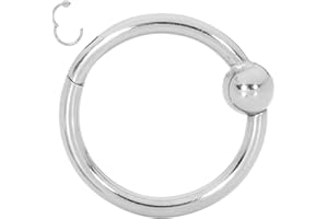 365 SLEEPERS 20G 18G 16G 14G Titanio 6 mm - 10 mm BCR Cierre de bola Septum Segmento con bisagras Nariz Labio Anillo Aro Pendientes unisex Joyería para piercing corporal