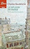 Le Spleen de paris