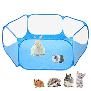 Amakunft – Tienda de campaña para Animales pequeños, Transpirable y Transparente para Mascotas, Cerca de Ejercicio al Aire Libre/Interior, para Conejillos de Indias, hámster, Chinchillas y erizos