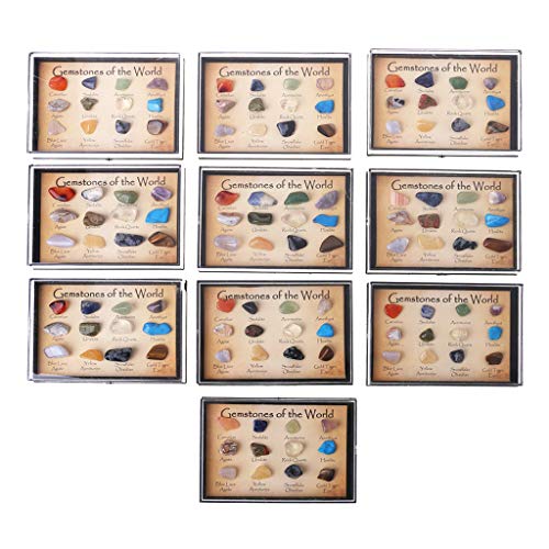 SimpleLife Natural Mineral Ore Specimens Kit with Box- Contains 12 Piece Gemstones-The best Geological Teaching Materials for Students.