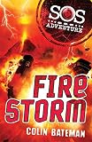Cover zum Buch Fire Storm