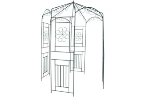 vidaXL Arche de Jardin Voûte Arceau à Rosier Pergola de Jardin Décor Extérieur