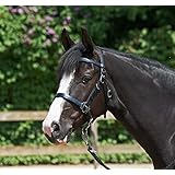 Wanderreittrense SIMPLE