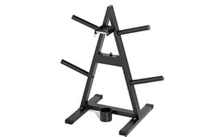 ZHOOGE A-Frame Weight Plate Tree for 1" Olympic Plates - Holds 300 lbs, Dumbbell Rack and Home Gym Storage Stand - Organize Your Workout Area !