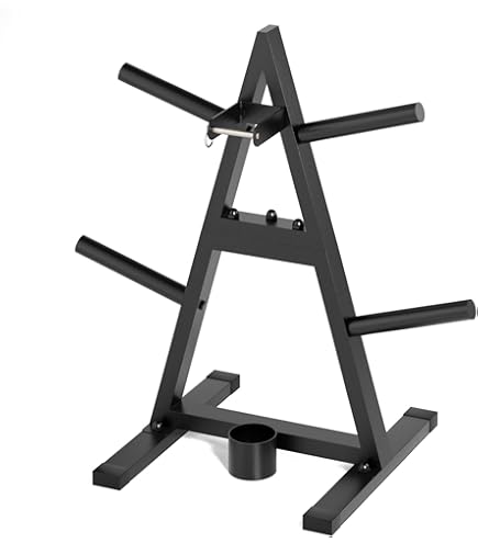 Lot De 4 Supports Mural Pour Disques D'Haltères - Capacité 80 Kg Par Support, Acier Allié, Noir - Organisation Salle De Sport