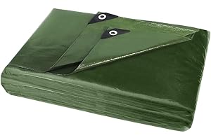 ANSIO Bâche de Protection imperméable très résistante 2m x 3m / 6.5 pi x 10 pi Bâche de qualité supérieure - 260 g/m² - Vert