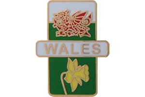 1000 FLAGS WelshSuperstore Daffodil Dragon and St David's Day Brooch Badge, Metal, Metal