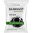 Cyzlic Seaweed Fertilizer for Plant 500 GM, Seaweed Granules for Plants Seaweed Extract Granules - Organic Fertilizer & Growth Promoter for Plants 500 gm