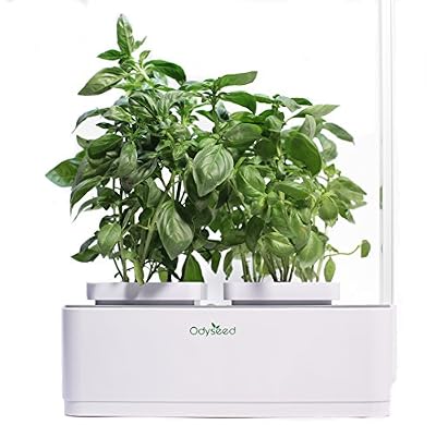 Odyseed - Potager d'Intérieur 100% Bio - Cultivez vos herbes aromatiques - Basilic Cannelle et Citron Inclus
