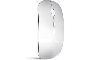 QYFP Bluetooth Mouse, Rechargeable Wireless Mouse for MacBook Pro/Air/iPad/Laptop/PC/Mac/Computer, Silver