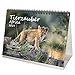 Tierzauber Afrika · DIN A5 · Premium Tischkalender/Kalender 2019 · Afrika · Wüste · Kontinent · Landschaft · Tiere · Wildnis · Natur · Edition Seelenzauber by 
