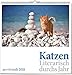 Katzen: Literarisch durchs Jahr 2018, vierfarbiger Monatskalender. Format 50 x 50 cm by 