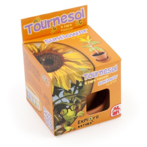 Preisvergleich Produktbild Radis & Capucine Pflanztopf mit Unterschale Sonnenblume