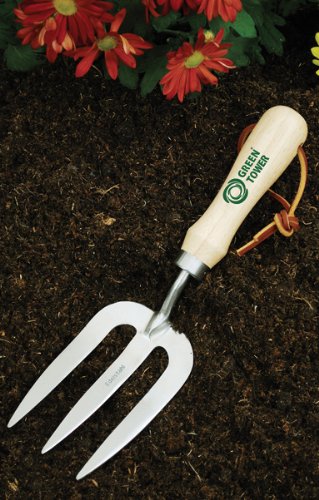 Preisvergleich Produktbild Blumengabel GT BLUMENGABEL EDELSTAHL MATT 2707G