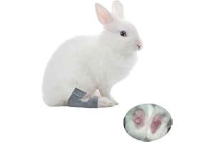 vomvomp 1 Pair Rabbit Socks for Sore Hocks Elbow Protective for Bunny Recovery and Relief Wound Pain