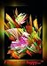 Produktbild CALVENDO Art: Flipart Be happy (Poster Book DIN A4 Portrait): An imaginative journey into the land of color and light. Images that touch the heart [Taschenbuch] [Oct 22, 2013] Art-Motiva, k.A.