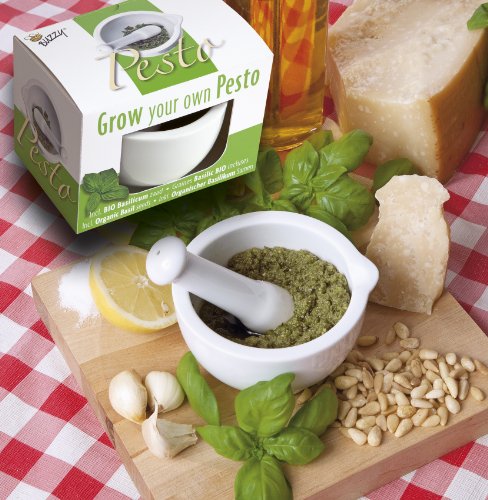 Preisvergleich Produktbild Pesto Mörser inkl. Saatgut für Basilikum und Anzuchterde