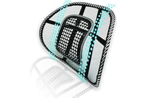 Big Ant Mesh Back Support for Office Chair, Ergonomic Lumbar Support Cushion for Car Seat, Back Rest Support with Mesh Elastic Strap, Chair Back Support,pain Relief Chair Cushion (Medium)