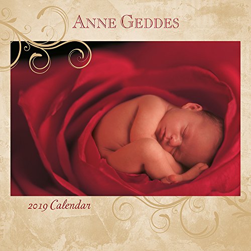 Preisvergleich Produktbild Anne Geddes 2019 Square Wall Calendar