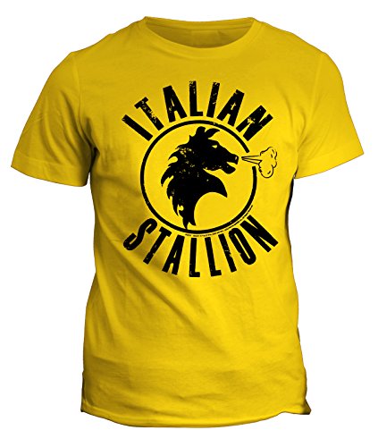 fashwork Tshirt Italian Stallion - Boxe Sport - Rocky - Stallone - in Cotone by