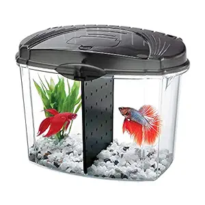 Aqueon Aqe01216 Betta Fish Bowl Kit For Pets, Black