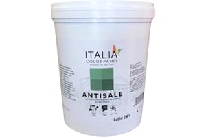Italia colorpaint I Pre Trattamenti Bonificanti Trasparente Antisale Antisalmastro Umidità Pareti e Pavimenti (Litri 1)