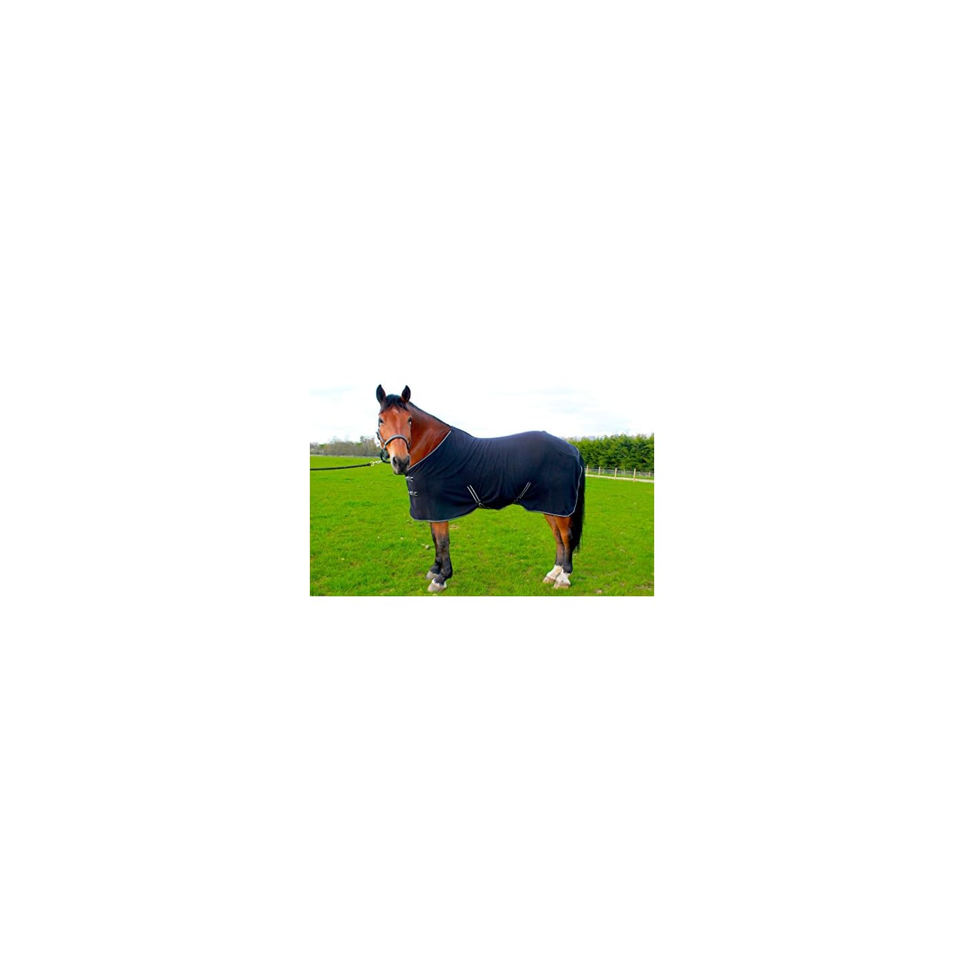 Horse ‘n’ Pony