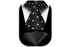HISDERN Cravatta Uomo Elegante a Pois Cravatte e Fazzoletto da Matrimonio Set Cravatta da Business