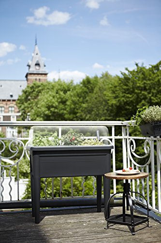 elho Green Basics Anzucht Tisch XXL – Lebhaft Schwarz - 3