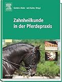 Image de Zahnheilkunde in der Pferdepraxis
