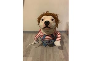 Vivi Bear Costume da Cane novità Cosplay Cosplay per Animali Domestici Vestiti per Animali Domestici Adatto a Cuccioli Grandi e Medi（M）