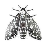 JALO 192 x 184 x 50 mm Détecteur de fumée optique, Lento Noir