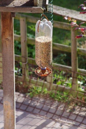 Neat Ideas - Kit per mangiatoia per uccelli, a forma di bottiglia