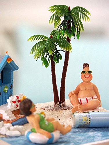 Geldgeschenk Verpackung Geldverpackung Urlaub Reise Geburtstag Hochzeit Weihnachten - 7
