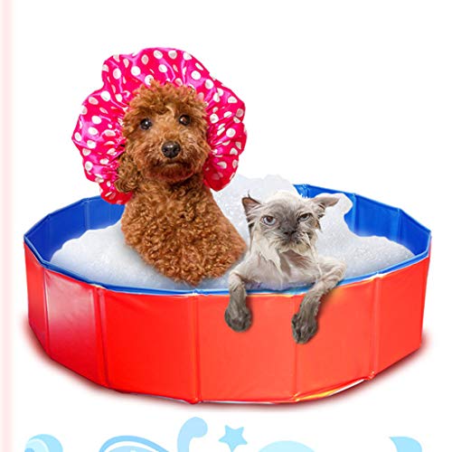 Jwd Pliable Chien Chien Piscine Pataugeoire Chiot Douche Baignade