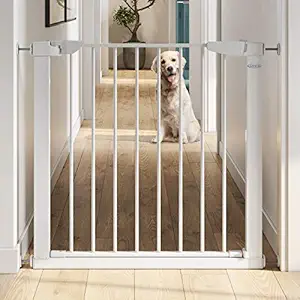 Graco BabySteps Walk-Thru Metal Safety Gate (White) - Pressure-Mounted Baby Gate for Doorway, Expands from 29.5-40.5 Inches, 29.5 Inches Tall, Includes 3 Extensions, Perfect for Children, Pet-Friendly