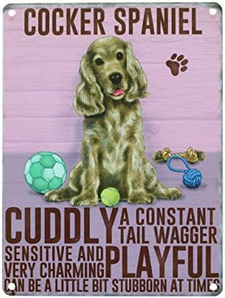Cocker Spaniel Gold Themed Wall Metal Sign with Image and Description of Dog Made in UK