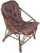 A&E Brown Chair made of Rattan & Wicker