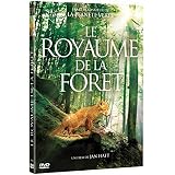 Détails sur le produit