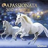 Apassionata 2017 - Pferdekalender 2017, Reitkunstkalender, Broschürenkalender 2017 - 30 x 30 cm by