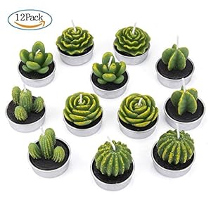 ZeWoo 12 Piezas Velas en Forma de Planta, Hechas a Mano Delicadas Plantas Decorativas Cactus Tealight Sin Humo para Día de San Valentín, Cumpleaños Fiesta de Boda Decoración