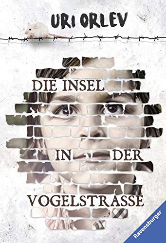 Die Insel in der Vogelstraße (Ravensburger Taschenbücher)
