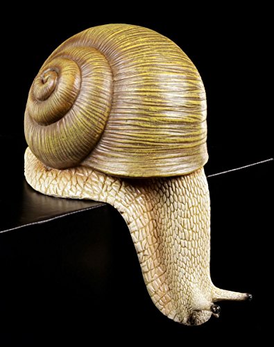 Schnecke Gartenfigur Kantenhocker groß – Weinbergschnecke Garten Figur - 2