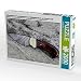 Produktbild CALVENDO 4059478950818 Aufbruchmesser Torsionsdamast und Wüsteneisenholz von Thomas Roth 2000 Teile Lege-Größe 90 x 67 cm Foto-Puzzle Bild von Saal Heribert, Weiß