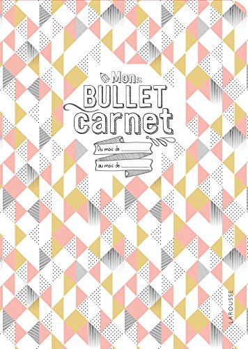 Télécharger Mon bullet carnet livre En ligne