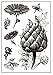 Produktbild Scrapbooking CLEAR STAMP Daisy  buyby Stamping Druck DIY Malerei Schablonen Vorlage