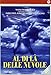 Al di là delle nuvole [Import italien]
