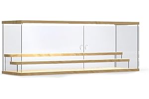 FRIKINK Vitrina Expositora Acrílica Led para Figuras y Colecciones - Metacrilato Duradero, Caja Exhibición y Protección de Objetos con Luz (60 x 18 x 21,4 cm LED)